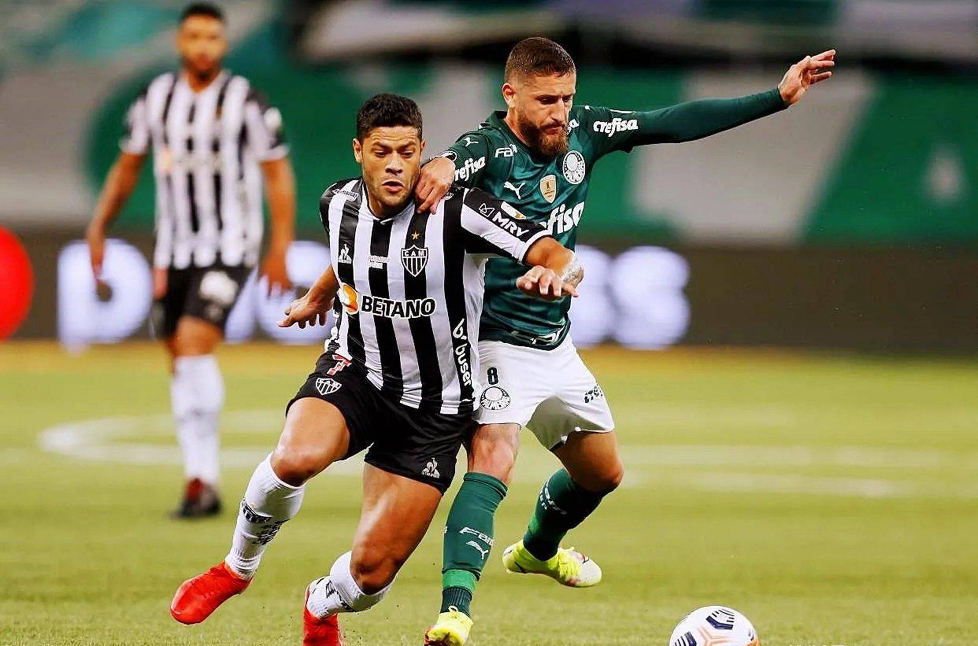 帕尔梅拉斯核心球员体能恢复,备战西雅图海湾者 帕尔梅拉斯核心球员体能恢复,备战西雅图海湾者