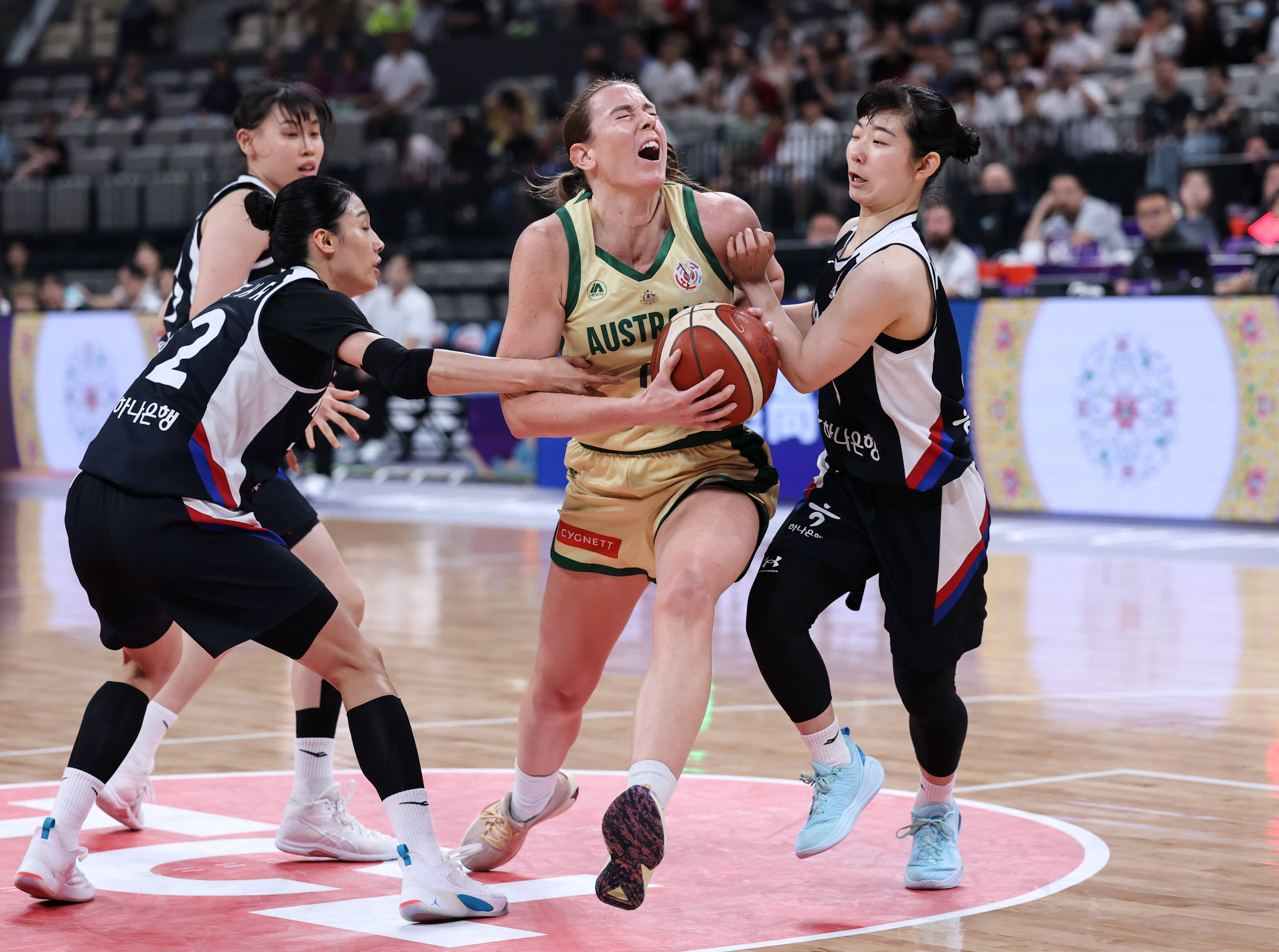 澳大利亚女足获得亚洲杯亚军 澳大利亚女足获得亚洲杯亚军